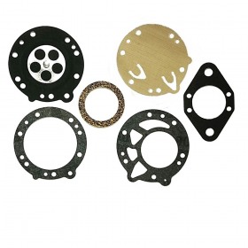 Carboretor overhaul kit for TILLOTSON DG5HL (591)